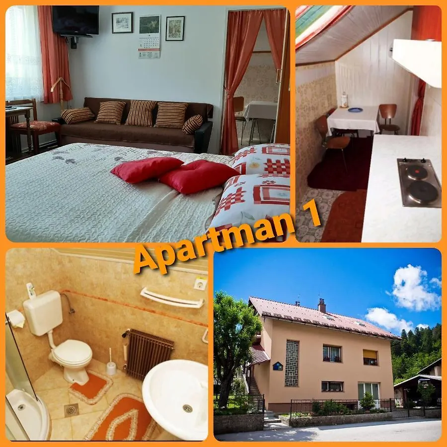 Apartments Gale Delnice 0*,